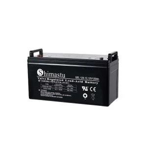 12V120AH JEL BATRI
