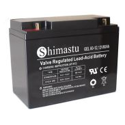 12V60AH JEL BATRI